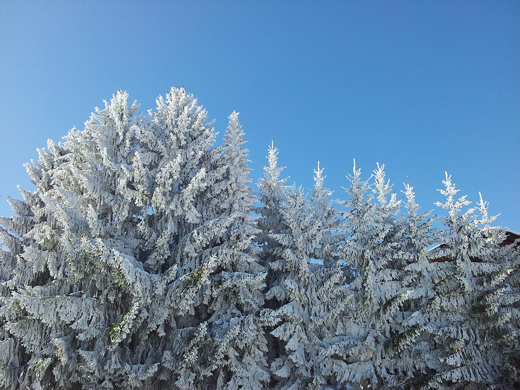 Ambiente Winter