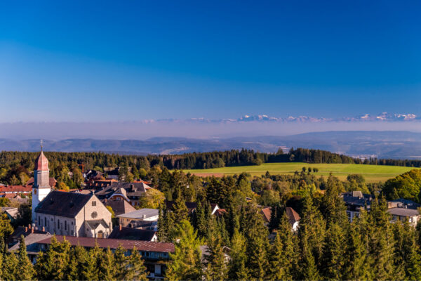 Höchenschwand Weitsicht mit Alpenpanorama