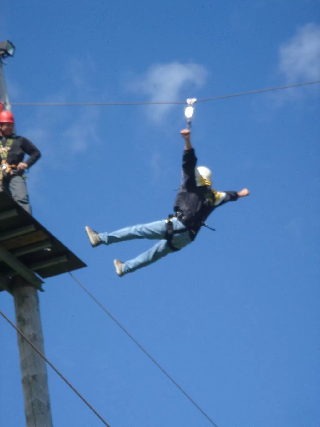 Flying-Fox