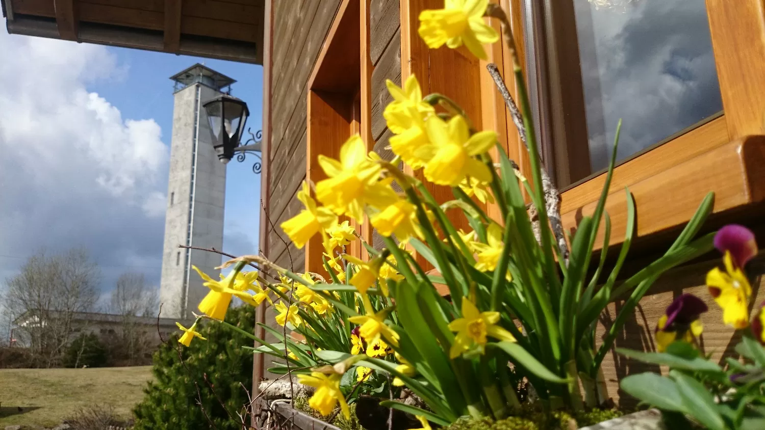 Endlich Frühling auf über 1000 Meter